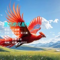 张鹏 - 我们的凤凰村 孙菲菲