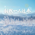 剩我一人过冬|风吹雪梦已空|