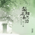 梨花雨相思泪 (再无好梦留人睡)