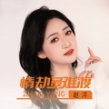 赵洋 - 情劫最难渡