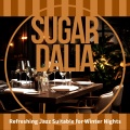 Refreshing Jazz Suitable for Winter Nights