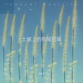刘皓轩 - 土坡上的狗尾巴草
