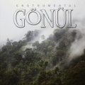 İsa Barak - Gönül