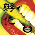 王璟 - 安全