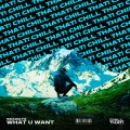 What U Want