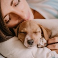 Radio Ondas 1、Música para los oídos de los perros、Música para perritos - Melodías Tranquilas Para El Descanso De Los Cachorros