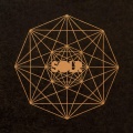 SOLR - Coule la sève
