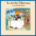 Cat Stevens - On The Road To Find Out