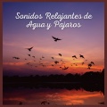 Sonidos De Aves - Sonidos Relajantes de Agua y Pajaros