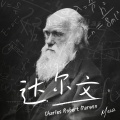 Mua穆阿 - 达尔文