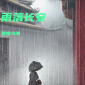 零度小海 - 雨落长安