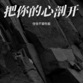 往往不爱吃饭 - 把你的心剖开