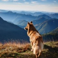 Vibras De Perro: Rimas Hip Hop