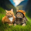 Lofi Mozart、Deep Night Cats、Deep Soothing Music For Anxious Ill and Stressed Cats - Quiet Hip Hop for Felines