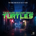 Teenage Mutant Ninja Turtles Main Theme (2012)