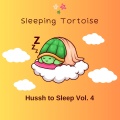 Sleeping Tortoise - Pickle