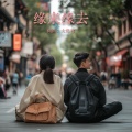 缘来缘去