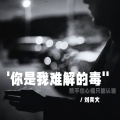 你是我难解的毒