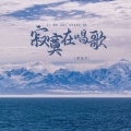 席栋杰 - 寂寞在唱歌