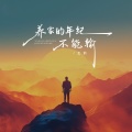 王韵 - 养家的年纪不能输