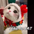 I like to EAT (圣诞版)