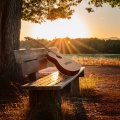 Musica Relajante de Guitarra BGM、Tiempos de sueño、Cascada Luna - Guitarra Con Sonido Suave