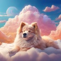 Librería Música、Música de Fondo para Perros、Música para Cachorros Felices - Vibraciones Suaves De Caminata