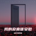 往往不爱吃饭 - 我的寂寞谁安慰