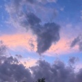 宣懿家 - 一时的选择