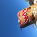 Biscuit (Explicit)