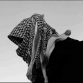 DJ Daly - Safar Habibi (Techno Version)