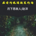 痴情的眼泪相思的雨 (对唱版)