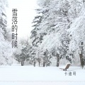 雪落的时候