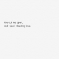 蓝儿Lyan - Bleeding Love
