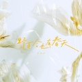 于冬然 - 野百合也有春天