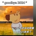 2024还没说顺嘴2025就来了 (跨年版)