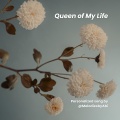 Melodies by Abi - Queen of My Life