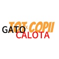 CALOTA、GATO - TOT COPII