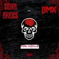 Lose My Mind (feat. DMX)(Explicit)