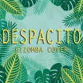 Ledes Diaz、Santos Real - Despacito
