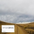 木可音乐、满辰 - 簇拥烈日的花