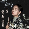 王听玥 - 繁花依旧