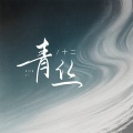 十二 - 青丝