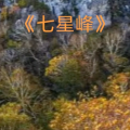 李涛 - 佳木斯