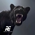 Revive RecordS - 结冰的汉江上有猫在走 DJ (干声版)