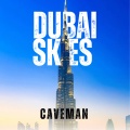 Dubai Skies