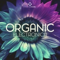 Muchas Music - Groundwork