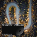 魏先生 - 提笔断  断笔提