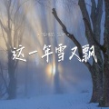 这一年雪又飘