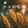 冬日的暖炉 (温馨)